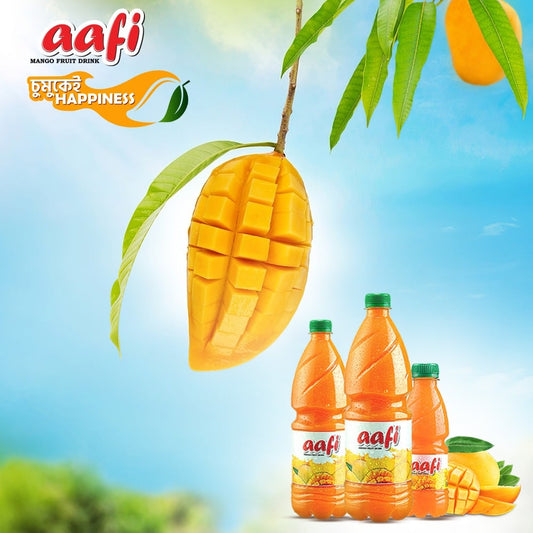 Mango Fruit Drink 260 ML - Pack of 48